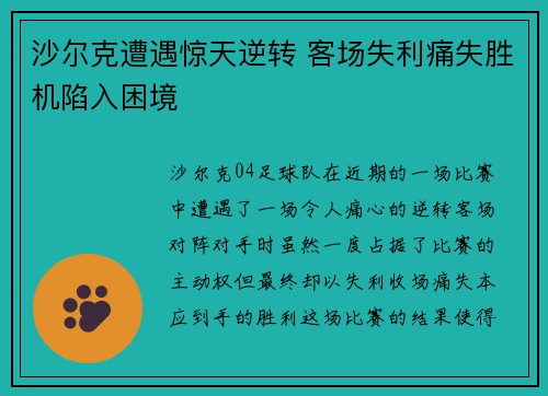 沙尔克遭遇惊天逆转 客场失利痛失胜机陷入困境