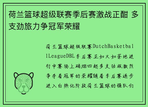 荷兰篮球超级联赛季后赛激战正酣 多支劲旅力争冠军荣耀